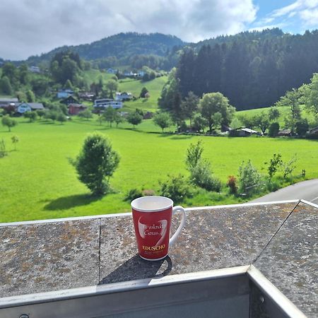Apartment Rheintal Im Alpenvorland Batschuns Exterior foto